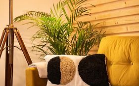 Yellow Studio